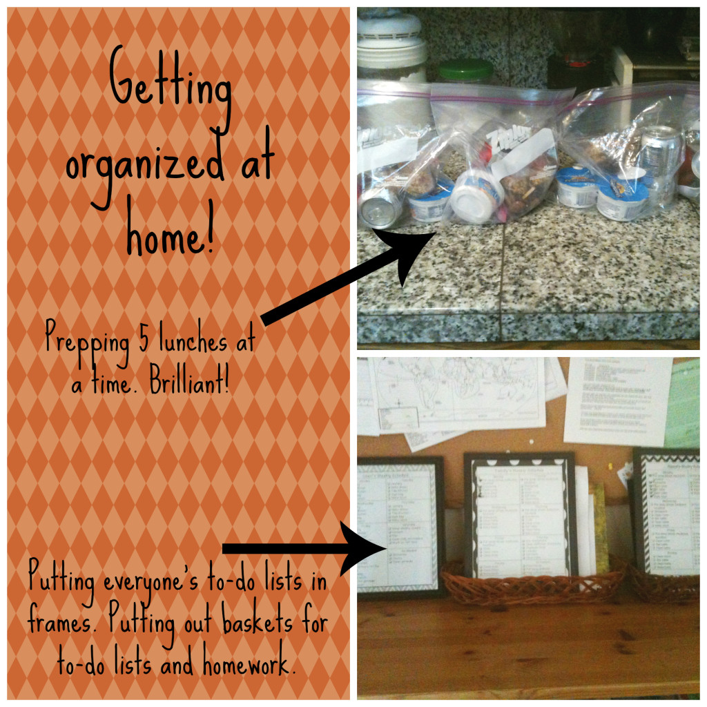 organization Collage