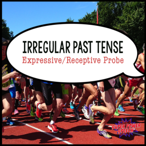 Free irregular past tense probe, just by subscribing!